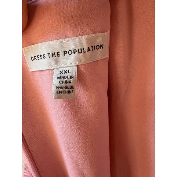 Dress the population Giovanni ruffled Maxi dress blush multi XXL - Picture 13 of 13